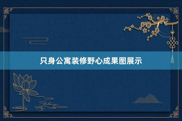 只身公寓装修野心成果图展示