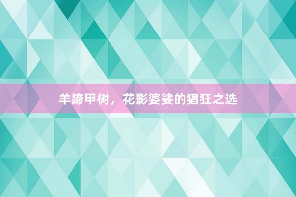 羊蹄甲树，花影婆娑的猖狂之选