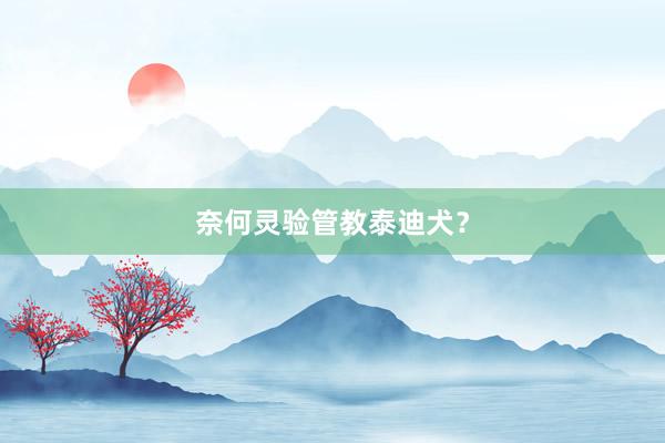 奈何灵验管教泰迪犬？