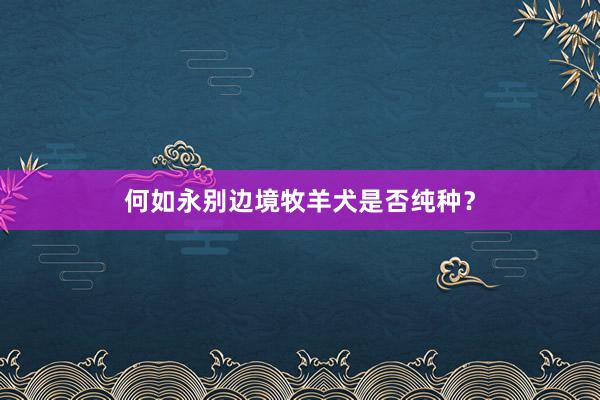 何如永别边境牧羊犬是否纯种？